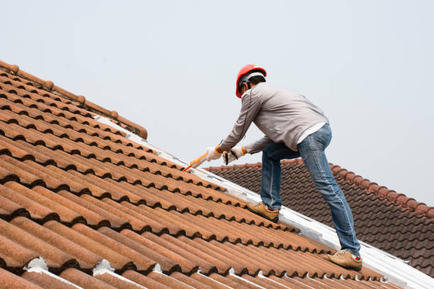 Best Roof Insulation Installation  in Montgomery, AL